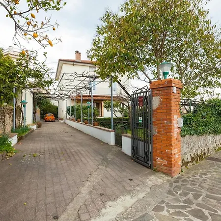 Spacious In With Mountain View