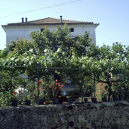 Apartment Spacious In With Mountain View *