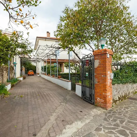 Spacious In With Mountain View *
